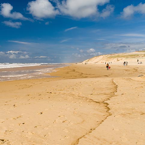 plage de contis landes